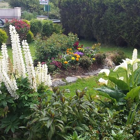 Riverwalk House B&B Oughterard Dış mekan fotoğraf