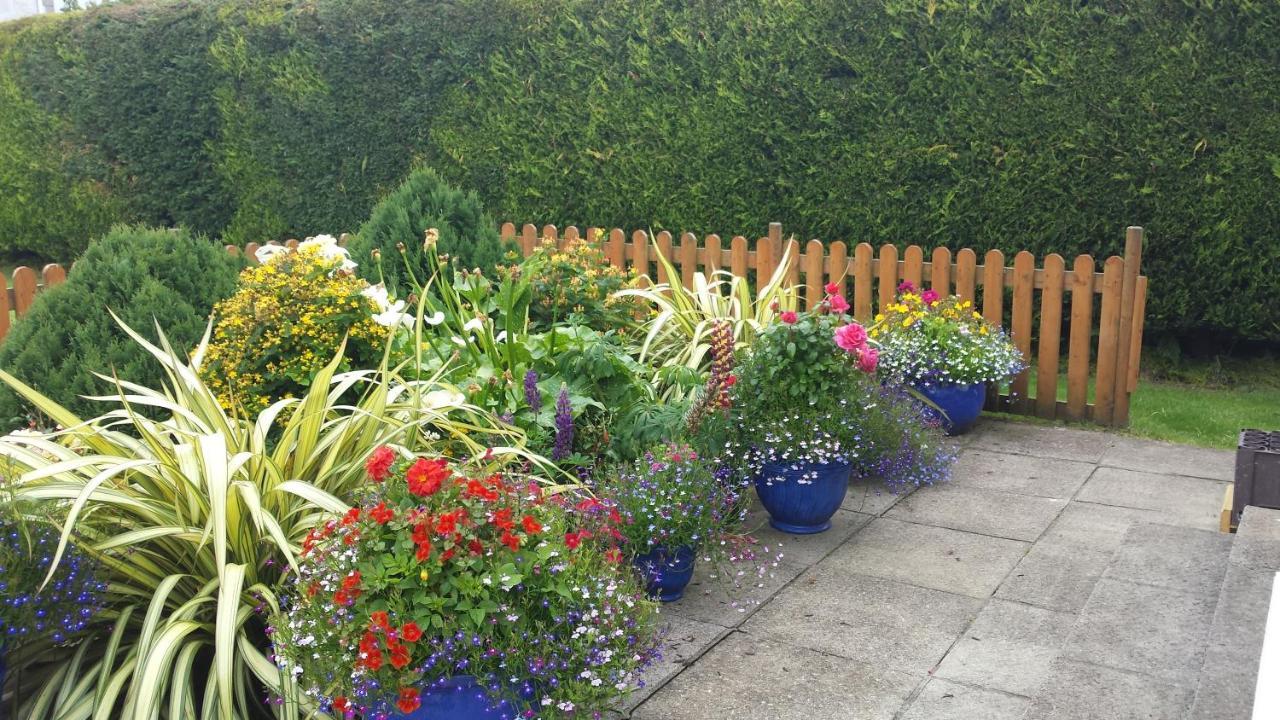 Riverwalk House B&B Oughterard Dış mekan fotoğraf